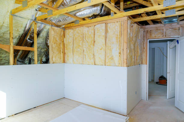 Types of Insulation We Offer in Forreston, IL