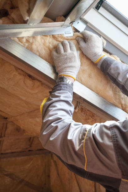 Best Geographic-Specific Insulation Services in Forreston, IL