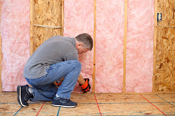 Professional Insulation Contractor in Forreston, IL